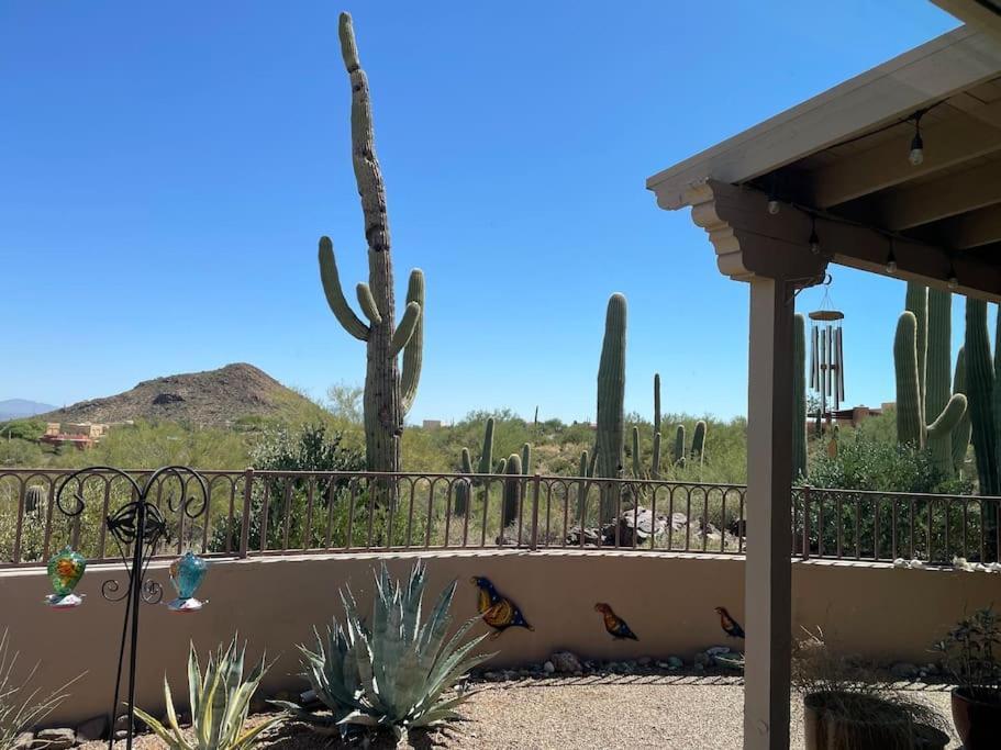 Tucson Mnt Foothills Saguaro Bliss Villa Екстериор снимка