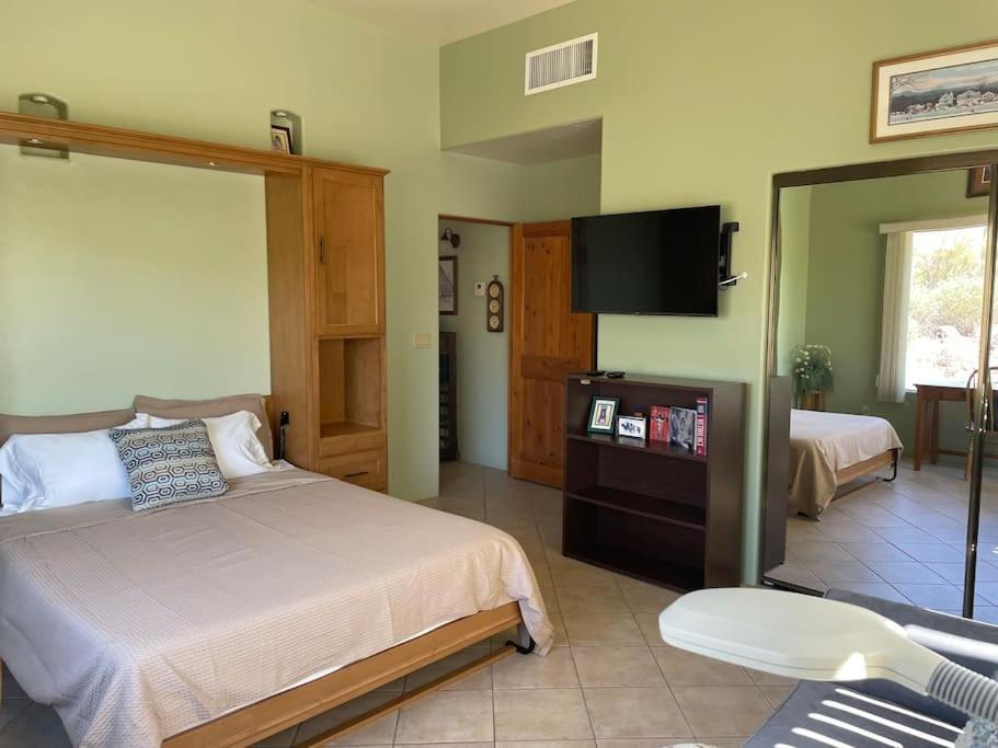 Tucson Mnt Foothills Saguaro Bliss Villa Екстериор снимка