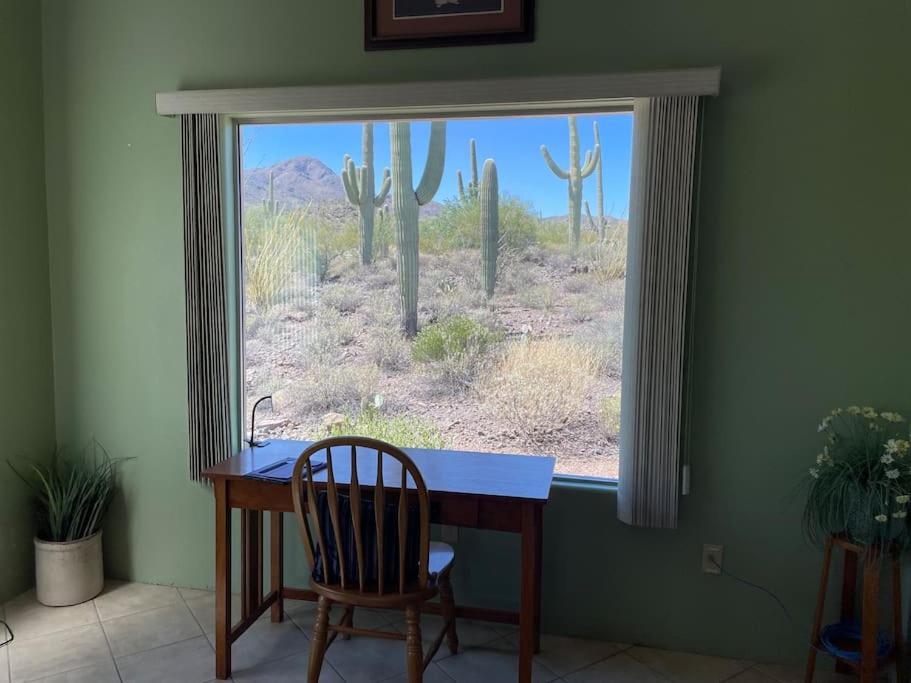 Tucson Mnt Foothills Saguaro Bliss Villa Екстериор снимка