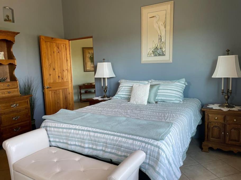 Tucson Mnt Foothills Saguaro Bliss Villa Екстериор снимка