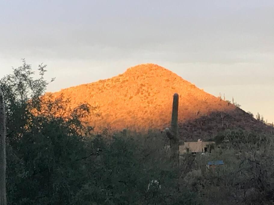 Tucson Mnt Foothills Saguaro Bliss Villa Екстериор снимка