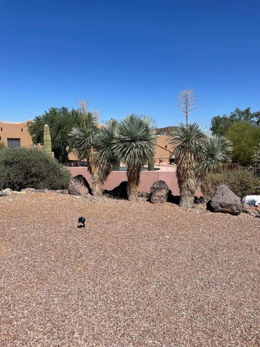 Tucson Mnt Foothills Saguaro Bliss Villa Екстериор снимка
